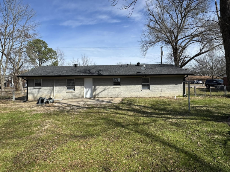 house-with-grass-and-leaf-protection-systems-in-backyard